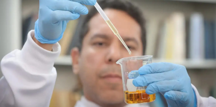 Imagem para site do ISC (17)