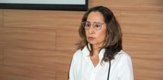 Seminário destaca aprendizados da pandemia e desafios para o futuro do SUS